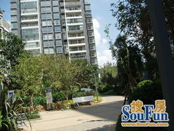 延安醫院正規一室一廳精裝修優價出租 房產頻道 云南信息網