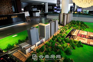 譽(yù)峰國(guó)際8月銷(xiāo)售創(chuàng)佳績(jī) 投資型產(chǎn)品受青睞