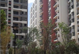 朝花曦拾1期滿(mǎn)意交房 2期聯(lián)邦國(guó)際中心即將面市